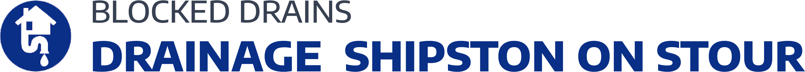 website logo